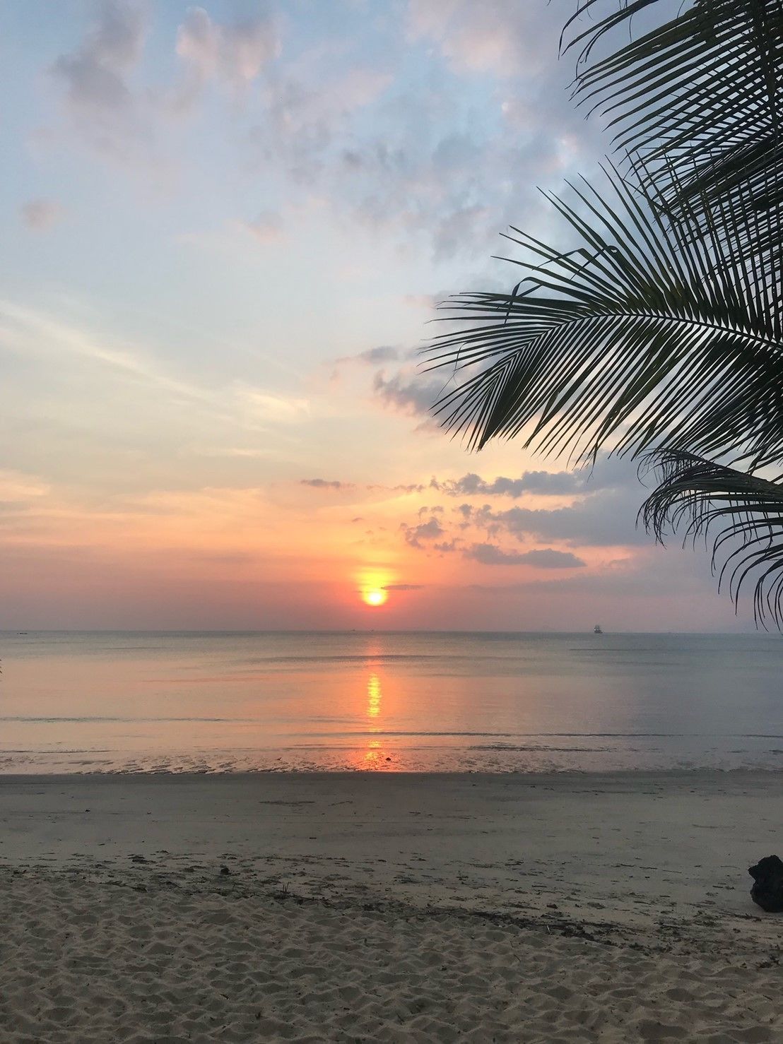 A beach scene with a sunset, calm sea, and a palm tree.