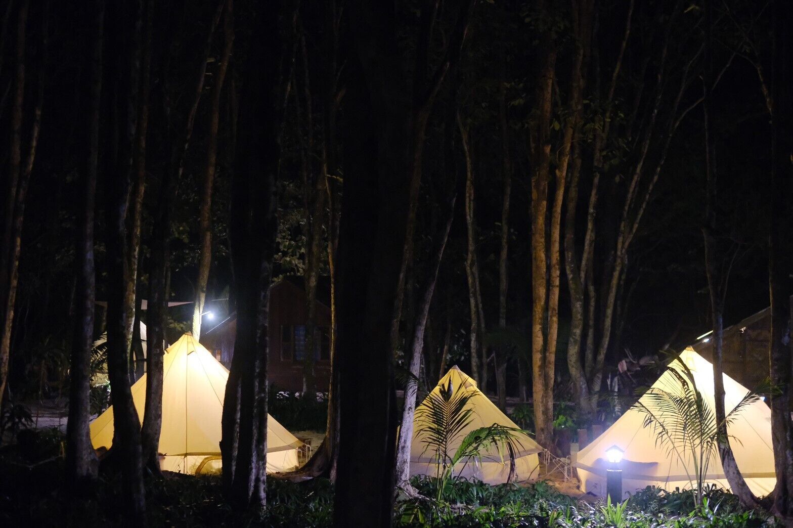 A forested area with several illuminated tents, suggesting a campsite or lodge setting.