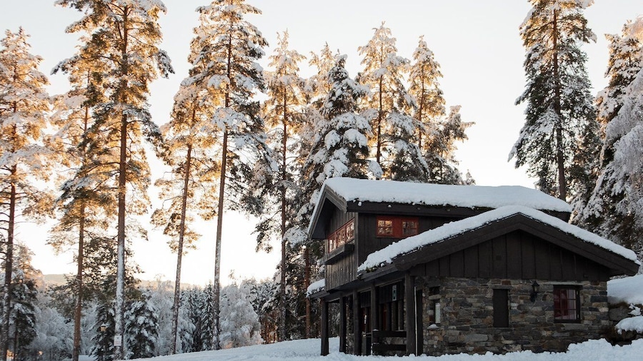 Hunderfossen Hytter Hafjell