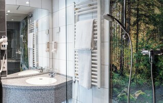 Suihku, ilmaiset hygieniatuotteet, hiustenkuivaaja, pyyhkeet