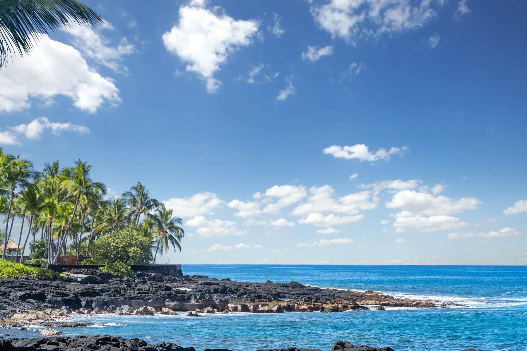 A rocky shoreline with palm trees and ocean waves.