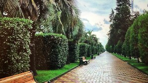 A paved walkway lined with benches and trimmed hedges, leading towards a distant point. - Hotel 36 - ORBI Beach Tower Batumi 36th floor (Batumi)