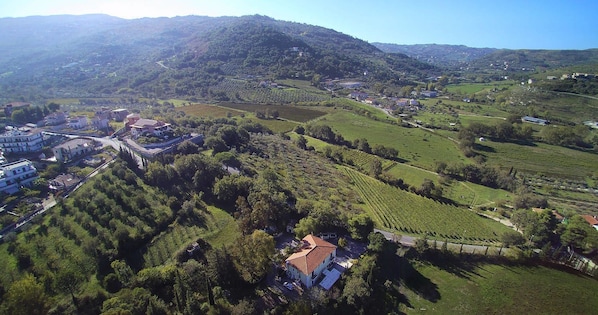 An aerial view of a rural area with vineyards, a small village, and a prominent building with a red roof.