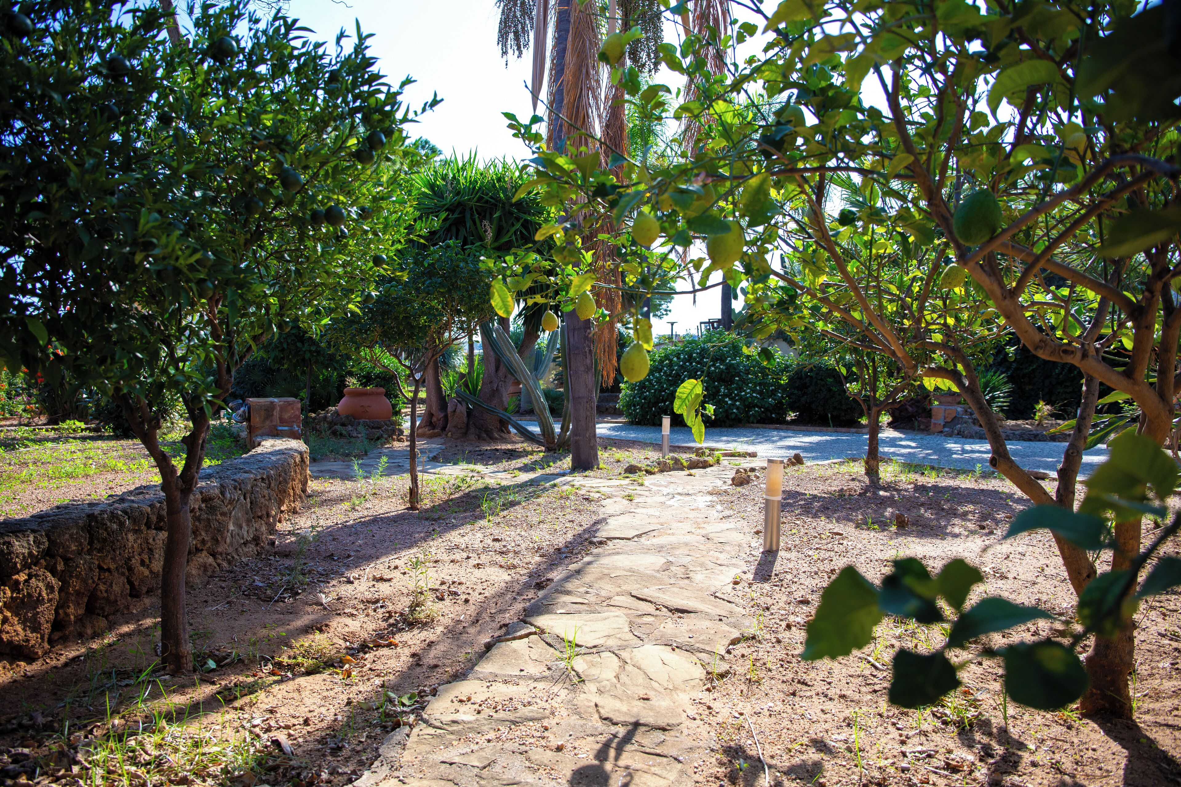 A stone pathway leading through a garden with various trees and shrubs.