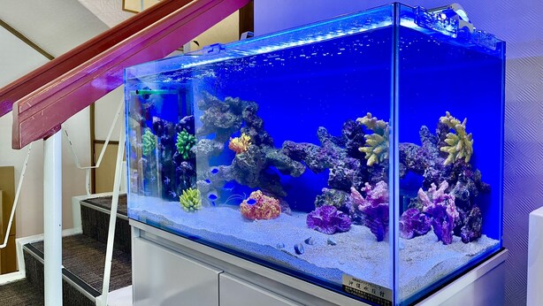 A large aquarium with various corals and fish, placed on a white stand in a room with a staircase and a wooden railing. - Hotel Time Rich (Okinawa)