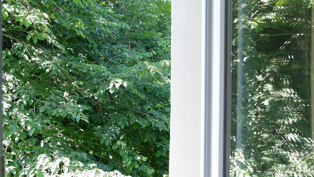 A window with a view of dense green foliage outside. - 3-Zimmer Apartment mit 2 Bädern am Marktplatz (Tuebingen)