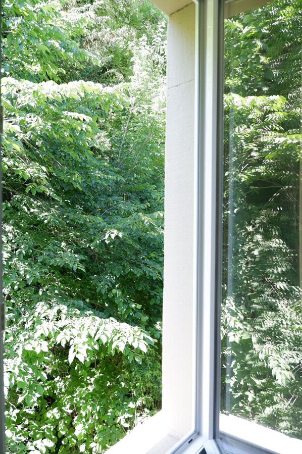 Apartment | Courtyard view - 3-Zimmer Apartment mit 2 Bädern am Marktplatz (Tuebingen)