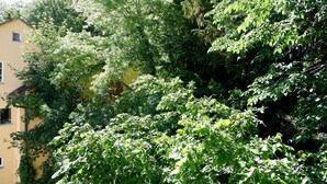 A yellow building partially obscured by dense green foliage. - 3-Zimmer Apartment mit 2 Bädern am Marktplatz (Tuebingen)