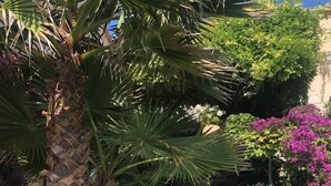 A swimming pool surrounded by lush greenery, including a palm tree and flowering plants. - Les Grimaldines - Maison d'Hotes C 2 Bis (Cagnes-sur-Mer)