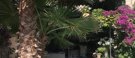 Een seizoensgebonden buitenzwembad en ligstoelen