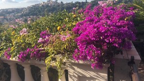 A balcony with vibrant bougainvillea flowers and a view of a hillside town. - Les Grimaldines - Maison d'Hotes C 2 Bis (Cagnes-sur-Mer)