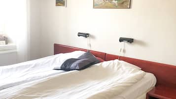 Basic Double Room | Desk, blackout curtains, iron/ironing board, free WiFi