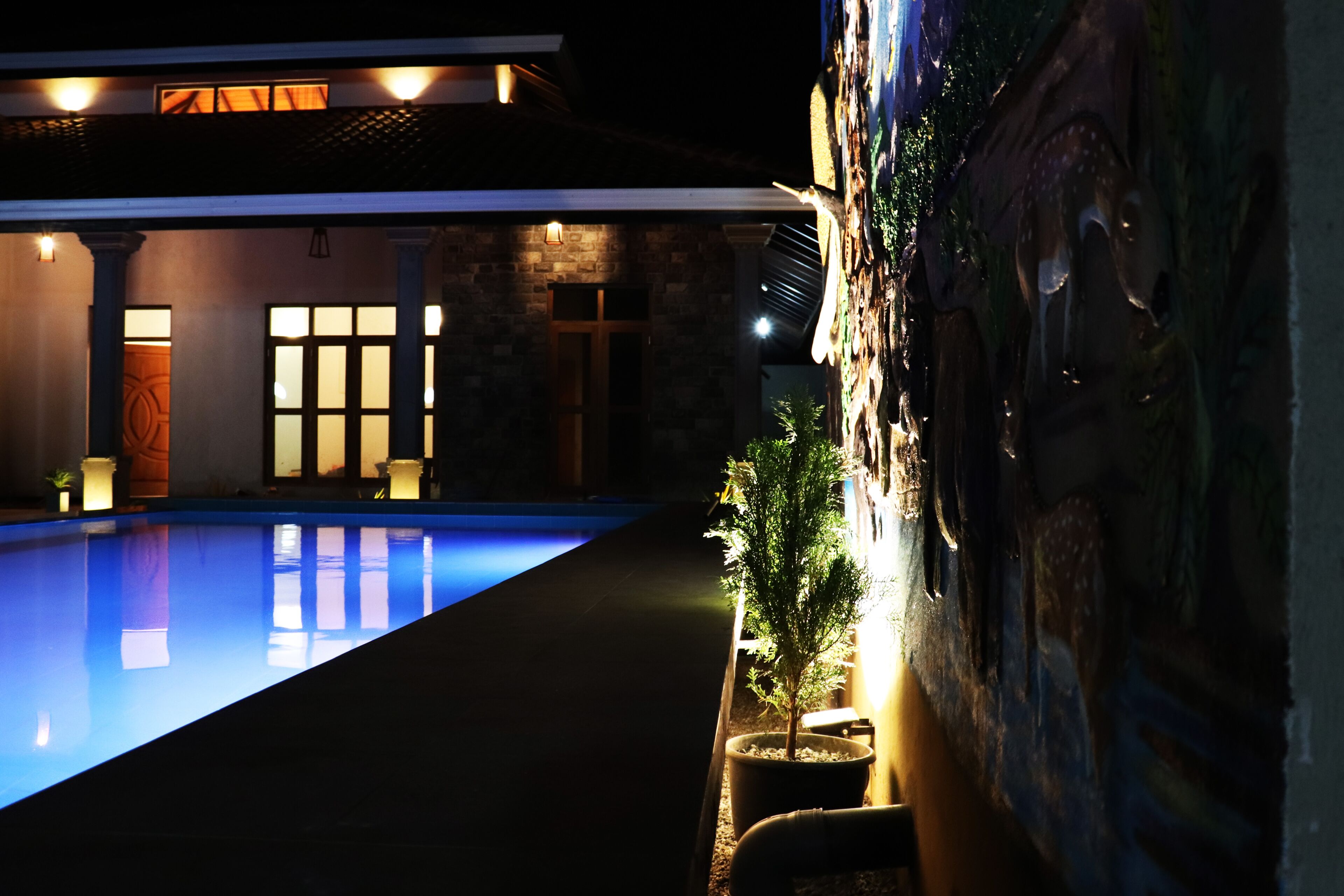 A swimming pool with a stone wall and potted plants, a wooden door, and a lighted wall.