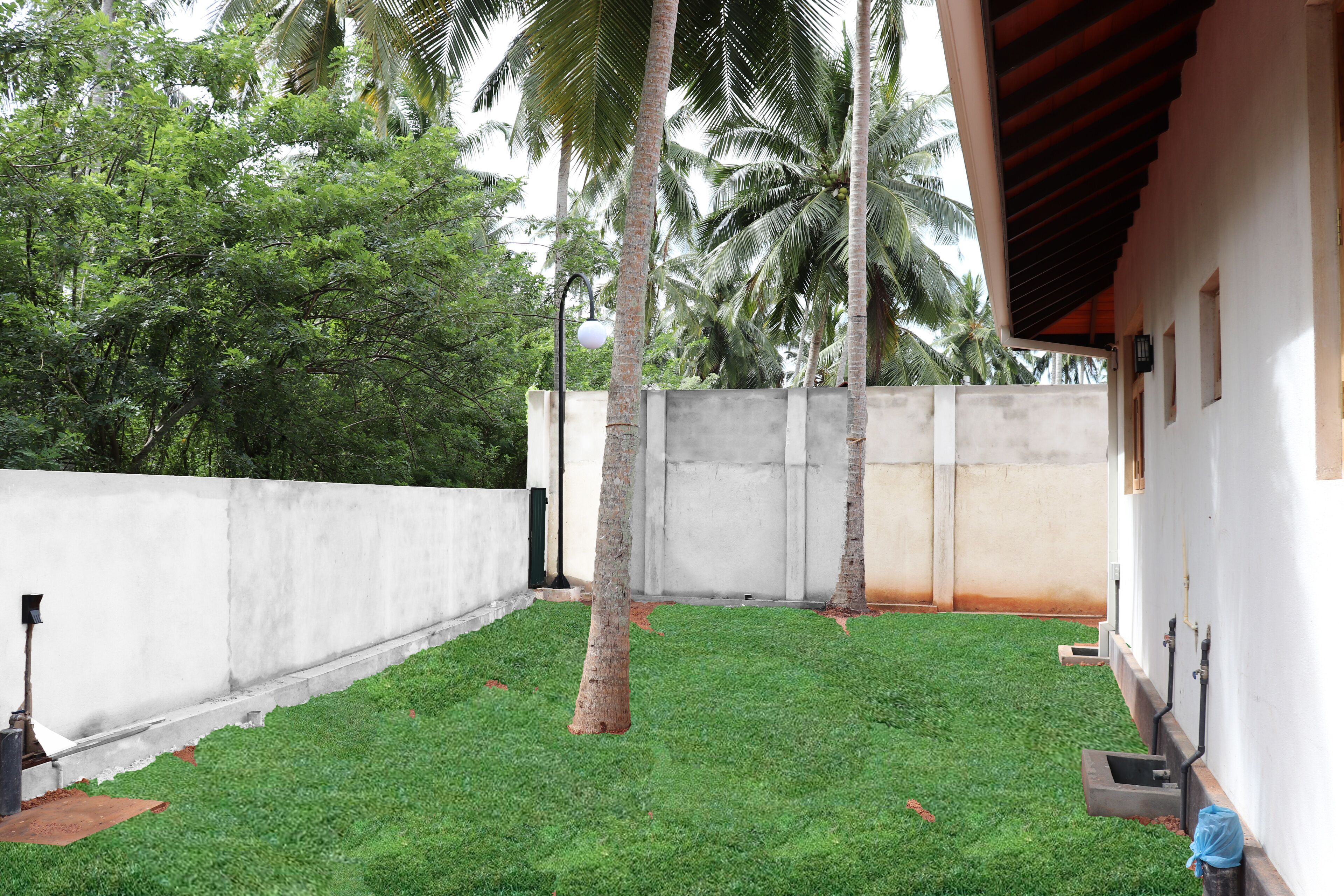 A courtyard with a grassy area, palm trees, and a white wall.