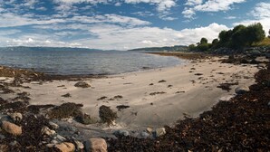 A beach with a rocky shoreline, seaweed, and trees in the background. - Klostergården Tautra (Frosta)