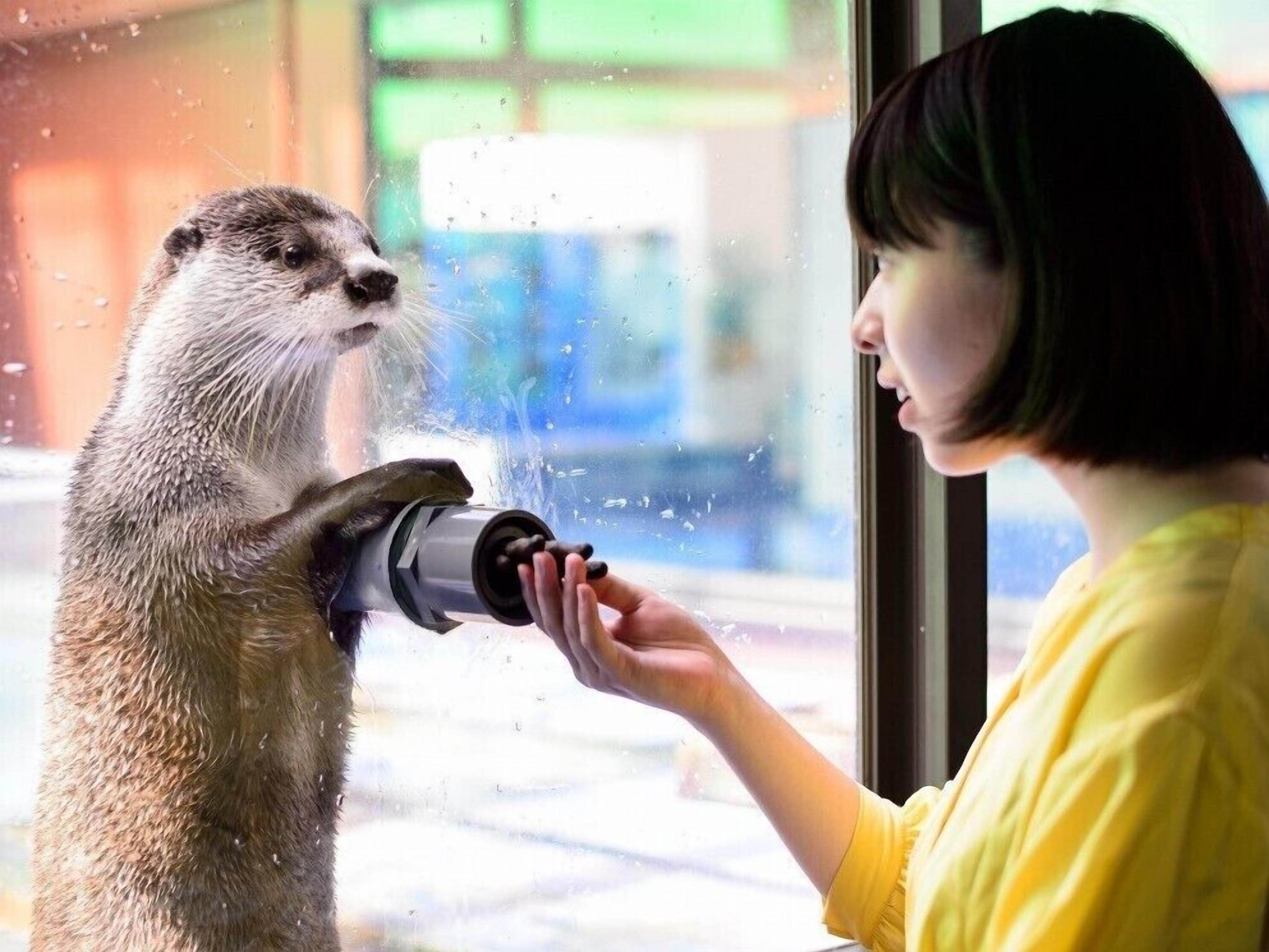 A person holding a camera to a window, with raindrops visible on the glass.