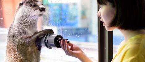 A person holding a camera to a window, with raindrops visible on the glass.