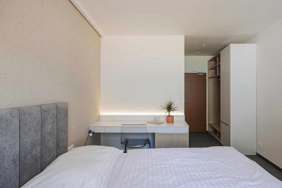 A modern hotel room with a bed, a desk with a chair, a potted plant, and a walk-in closet.