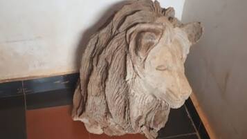 Una escultura de cabeza de león sobre un suelo de baldosas.