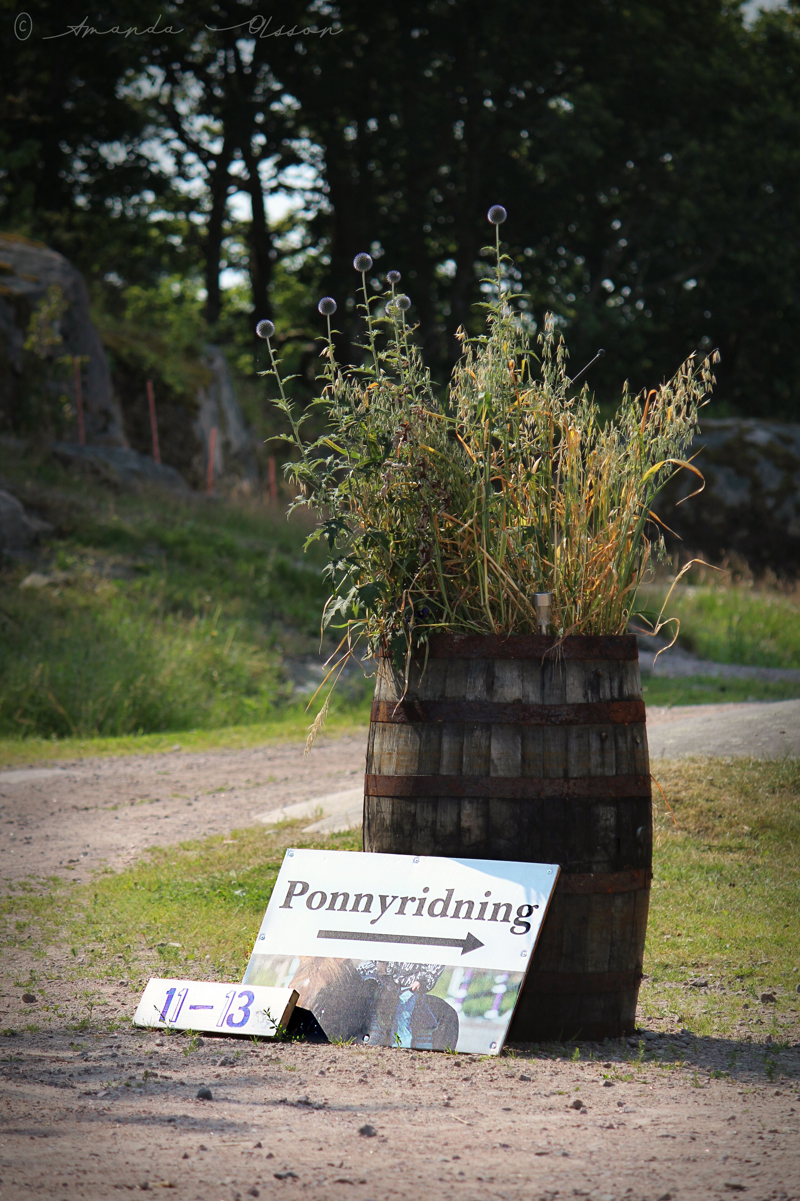 Una maceta de madera con un cartel que anuncia un evento de ponnyriding, ubicada en un sendero de tierra con vegetación de fondo.