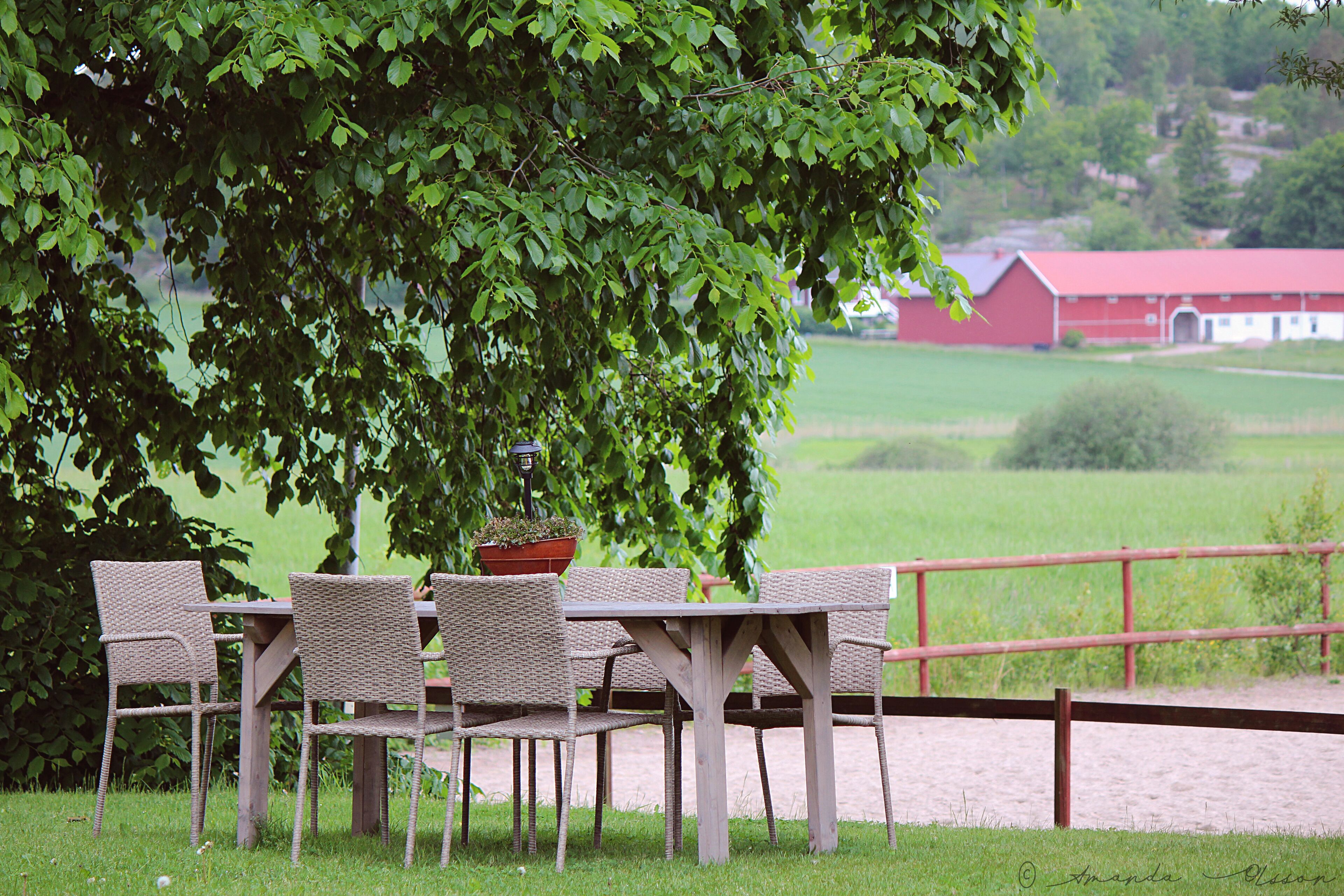 Café