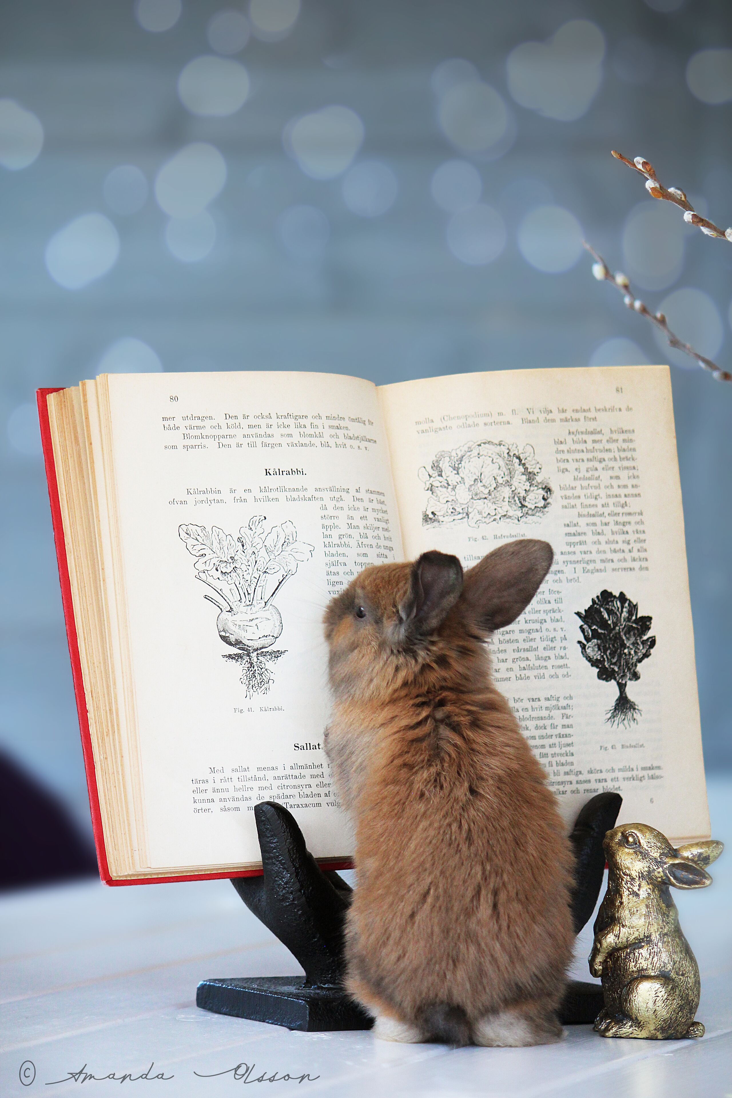 A book open to a page with illustrations and text, a small rabbit figurine, and a decorative branch.