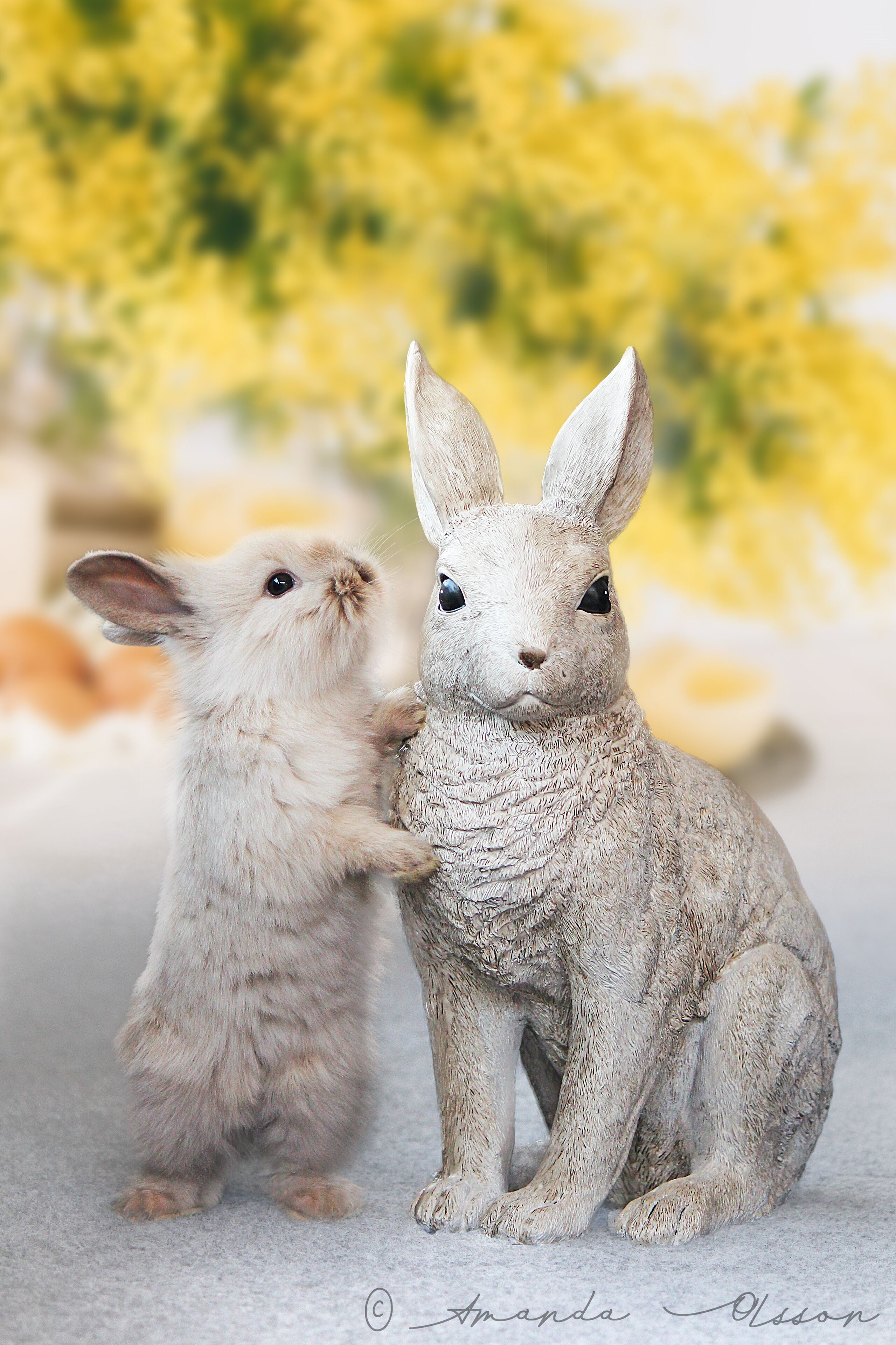 Duas figuras de coelho, um em pé e outro sentado, com um fundo amarelo desfocado.