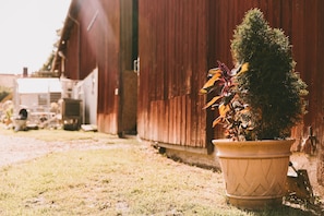 Exterior - Farmlodge (Brastad)