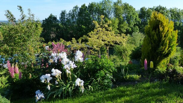 Garden - Les Enselmes (Montagnieu)