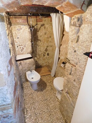 Habitación con 1 cama matrimonial o 2 individuales, Terraza | Baño | Regadera, amenidades de baño gratuitas, secadora de cabello, bidet