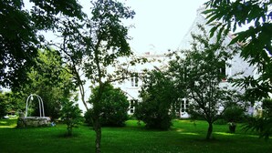 Un patio verde y exuberante con árboles y una fuente.
