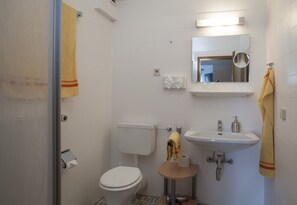 Shower, free toiletries, towels