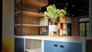 Un interior moderno con un mueble de madera y gris, un jarrón blanco con plantas verdes y una estantería con planta en maceta.