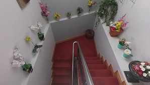 Staircase - The Foggy Dew Inn (Wexford)