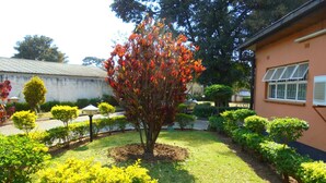 A well-maintained garden with various shrubs and a prominent tree with red leaves. - Sharon's Guest House (Lusaka)