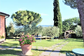 A garden with a large potted plant, stone pathway, and outdoor seating. - Pino Villa: Pool, Chianti & Thermal Baths (Gambassi Terme)