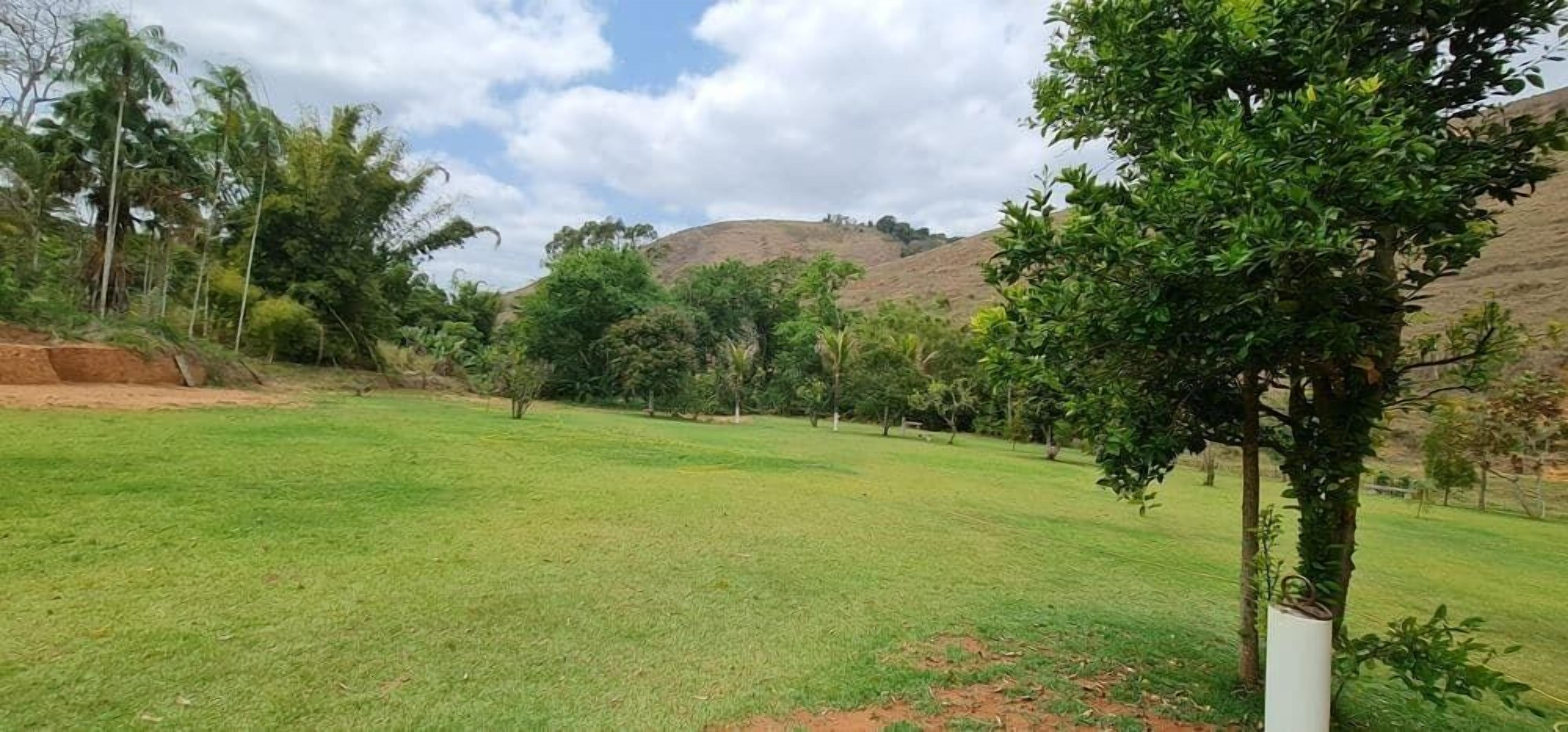 A grassy field with trees and a hill in the background.