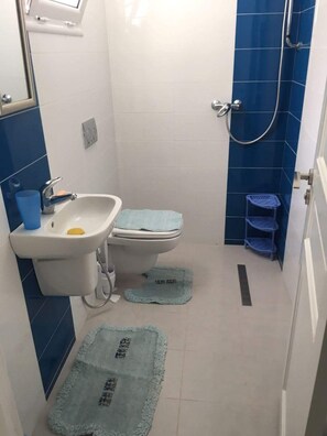 A small bathroom with a toilet, sink, and shower. - Tazarka House (Korba)