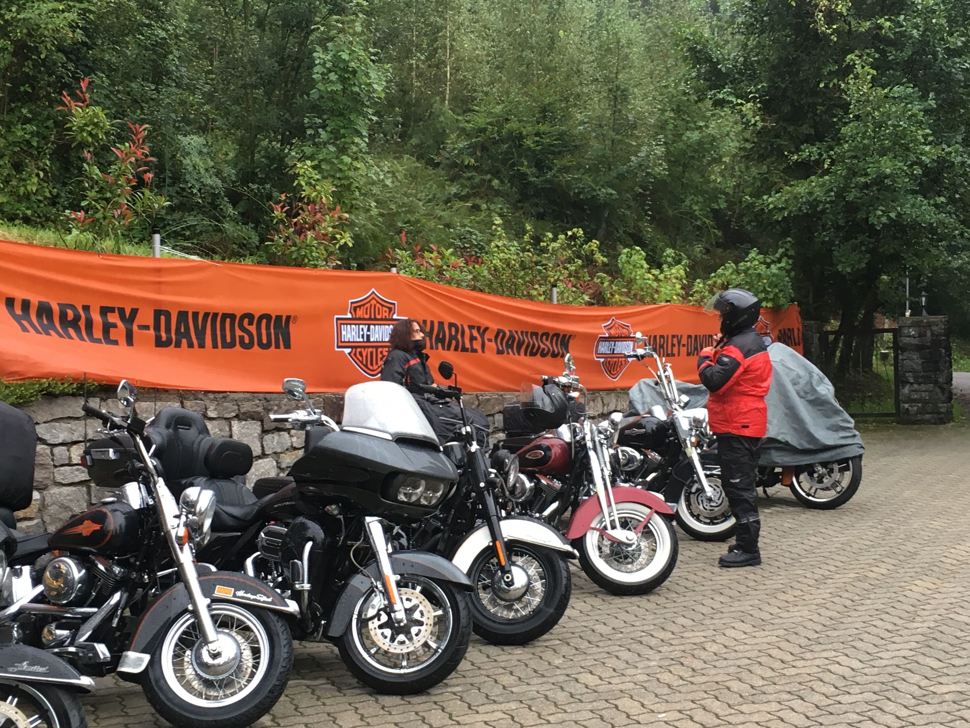 Une rangée de motos est stationnée devant une enseigne Harley-Davidson.