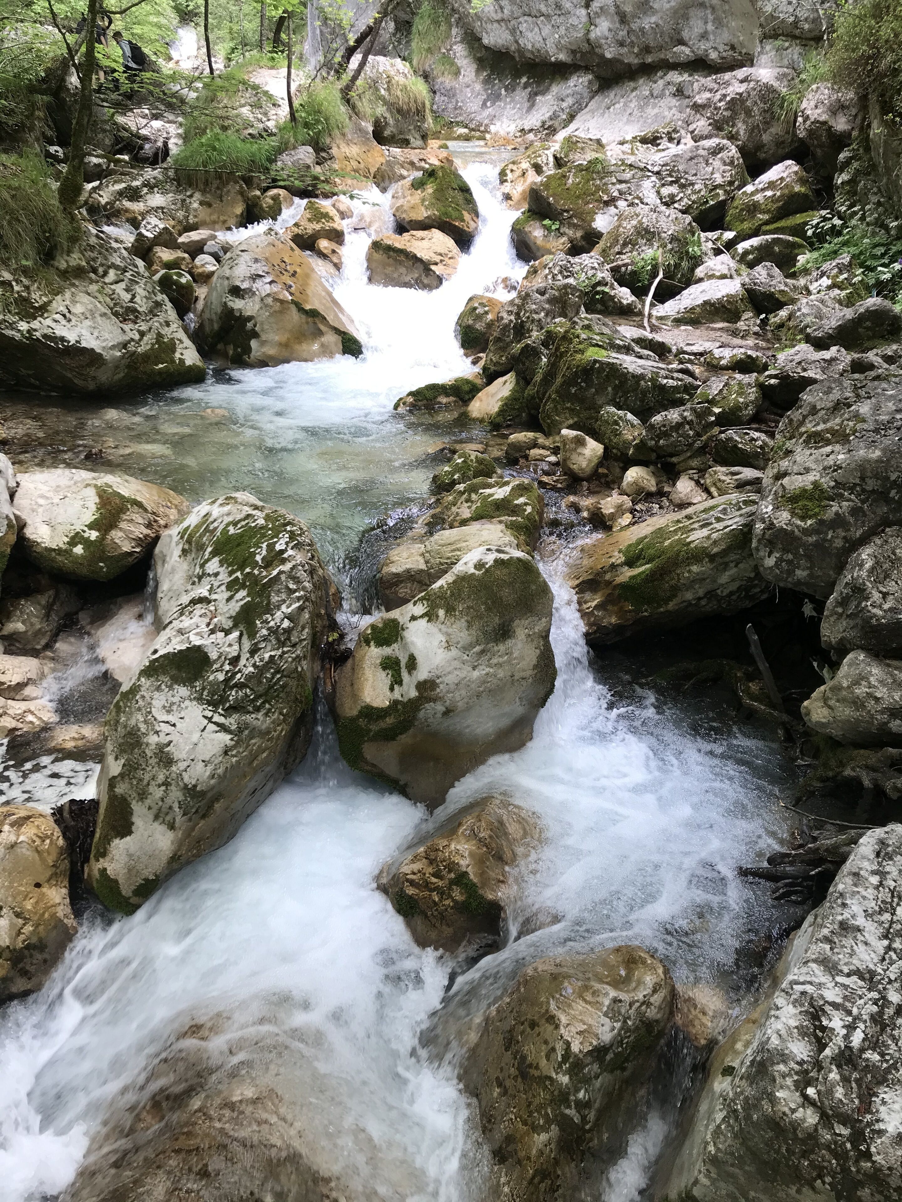 A natural stream flowing over rocks in a forested area.