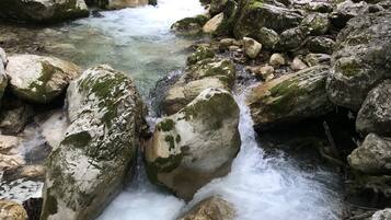 Un arroyo serpenteando sobre rocas en un área boscosa.