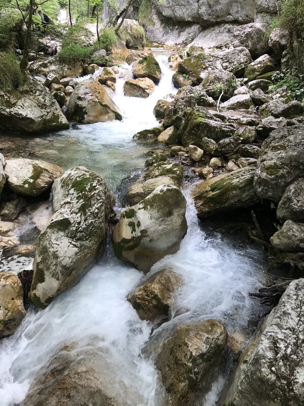 Un arroyo serpenteando sobre rocas en un área boscosa.