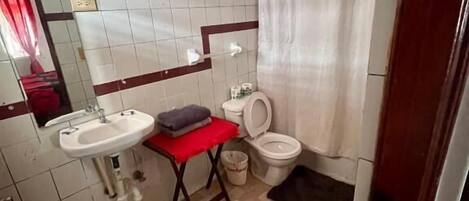 A small bathroom with a sink, toilet, and shower curtain.