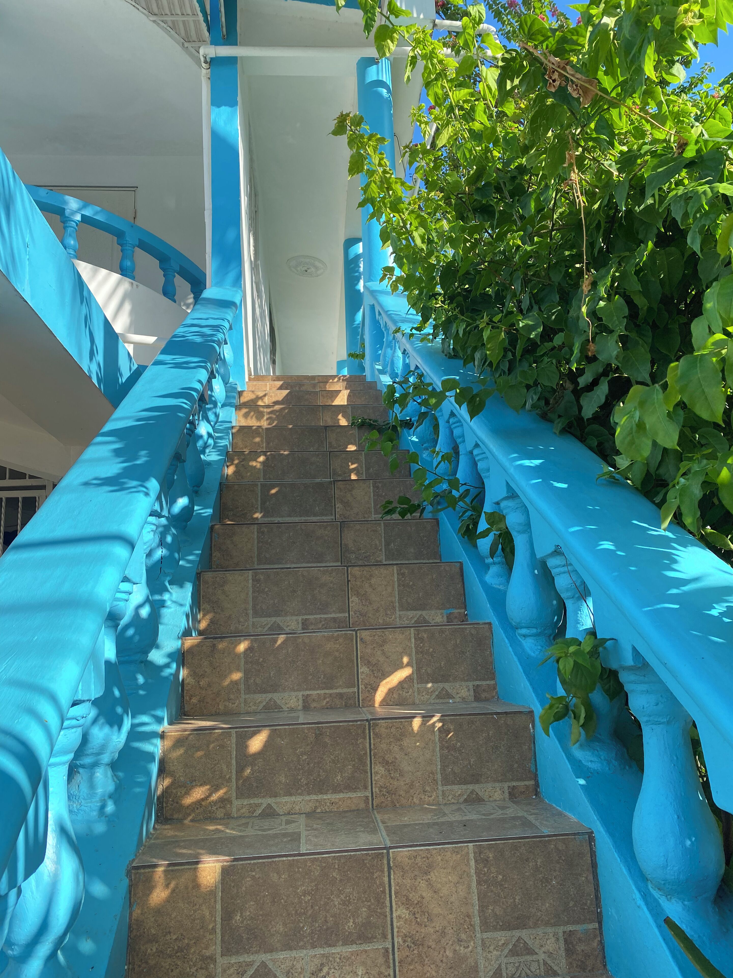 Foto - Villa Antonia 16