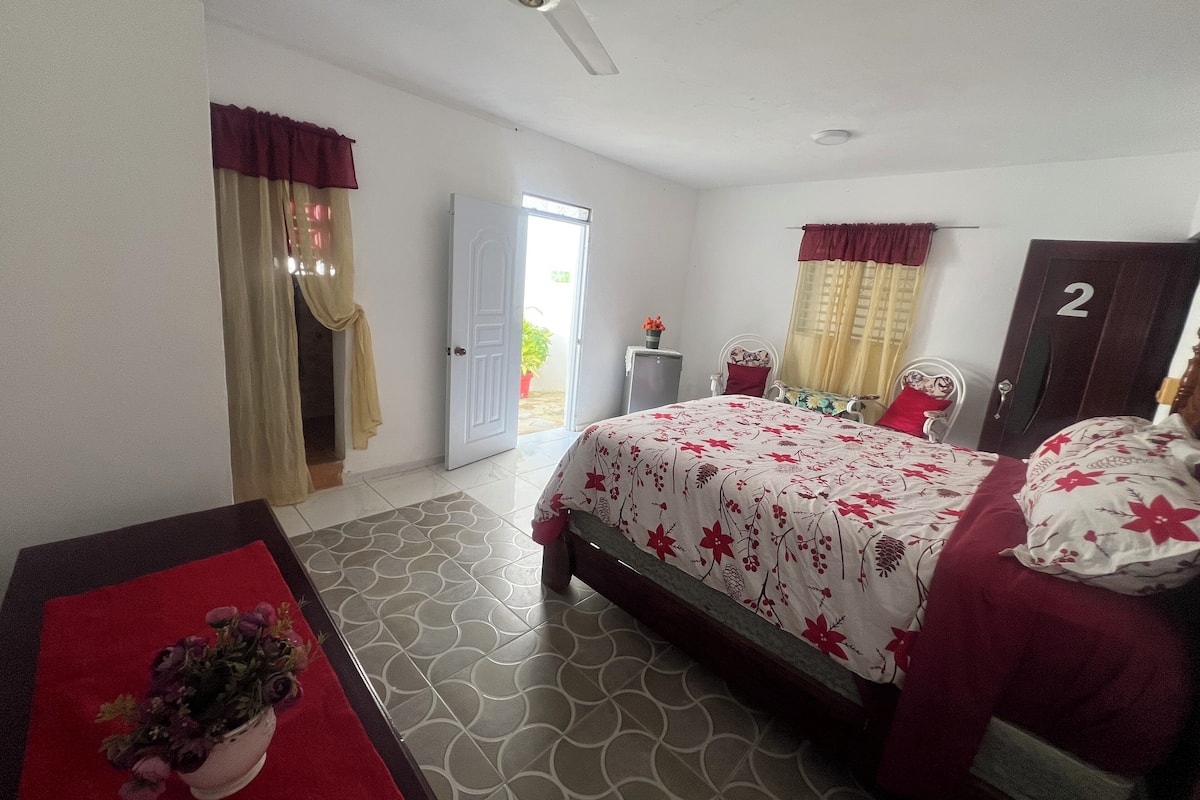 A bedroom with a bed, a nightstand, a potted plant, a door, and a window.