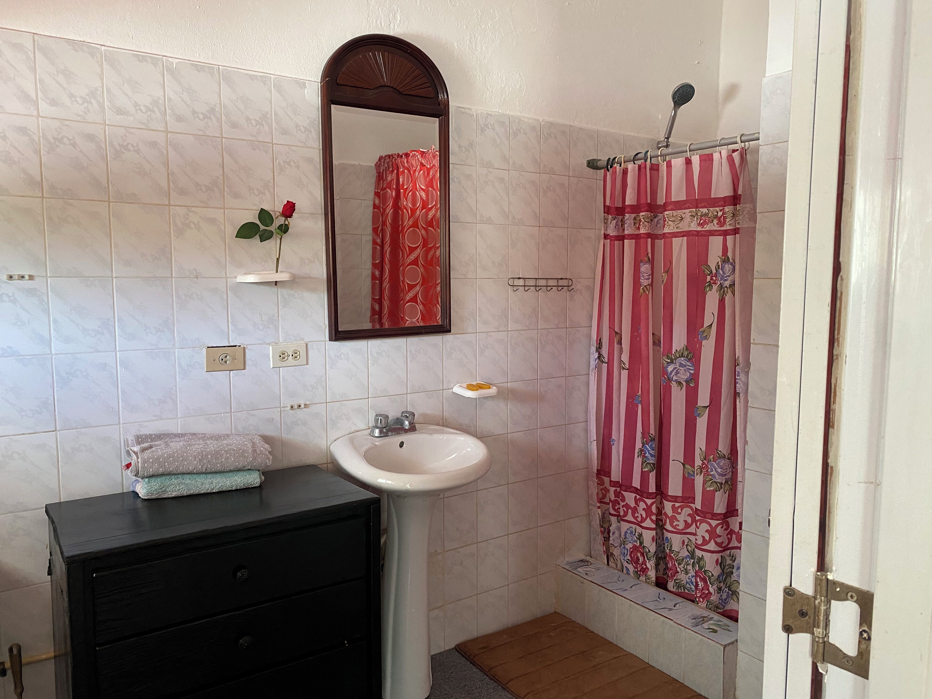 Une salle de bain avec un lavabo, un miroir et un rideau de douche.