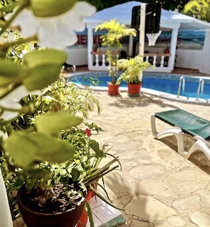 Outdoor pool - Villa Antonia 16 (Sosúa)