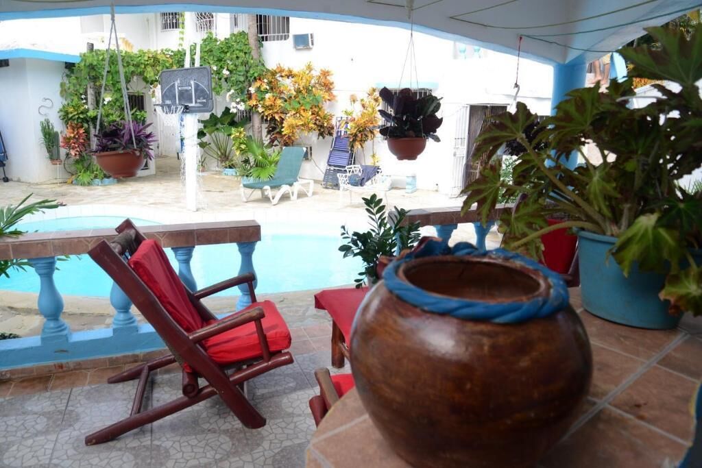 A poolside area with lounge chairs, potted plants, and a large ceramic pot.