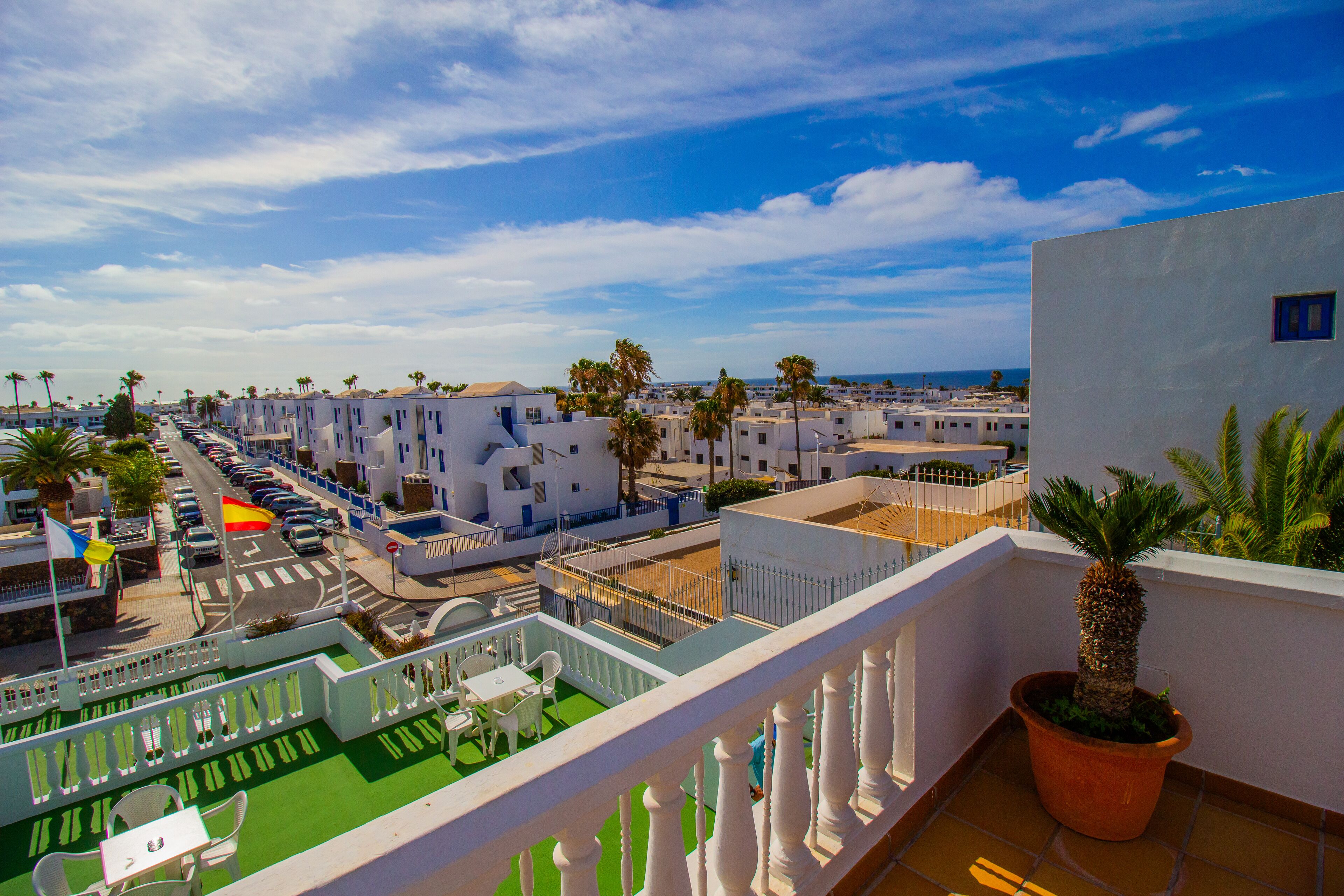 Una terrazza sul tetto con vista su una cittadina costiera, una palma e una bandiera.