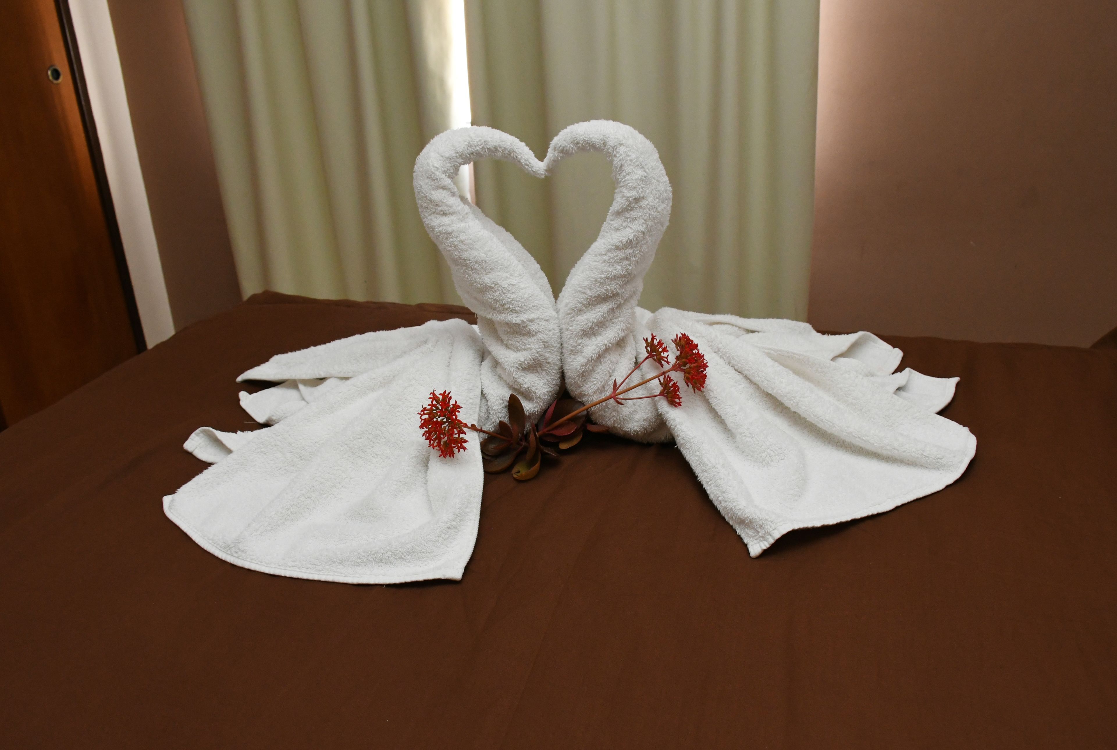 egyptian cotton sheets, premium bedding, free wifi, wheelchair access